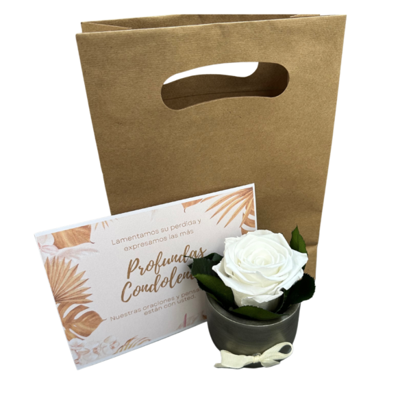 Rosa Preservada Condolencias