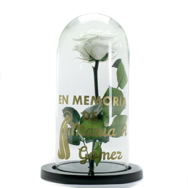 Rosa Blanca preservada personalizada