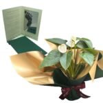 Imagen siguiente del producto