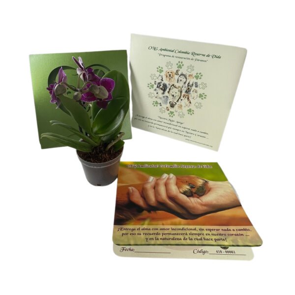 Bono Condolencia Mascota