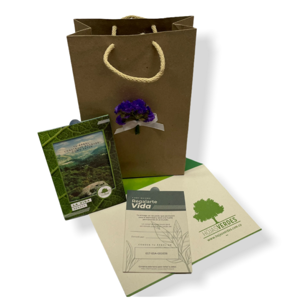 Bono Condolencia Hojas Verdes