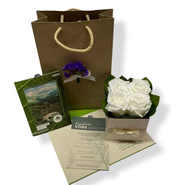 Bono Hojas  Verdes + Rosas Preservadas