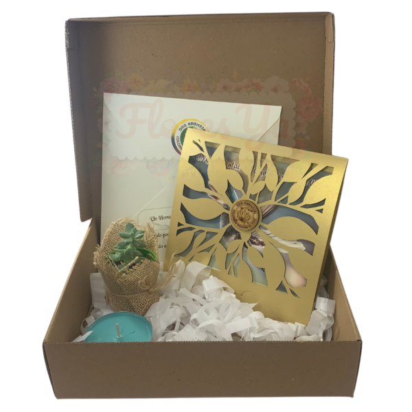 Bono Condolencia Renacer Caja Lujo