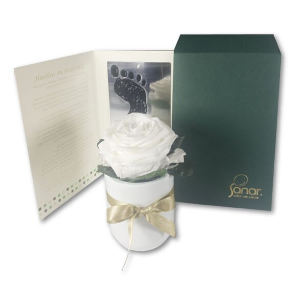 Bono Condolencia Sanar Botero + Rosa Preservada