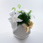 Imagen anterior del producto