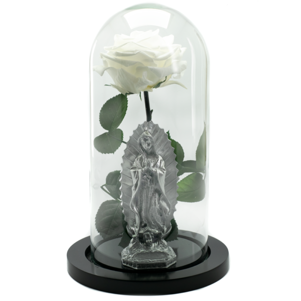 Rosa Encantada con Virgen