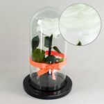 Imagen anterior del producto