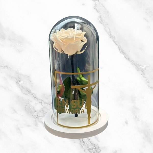 Rosa Preservada Condolencias